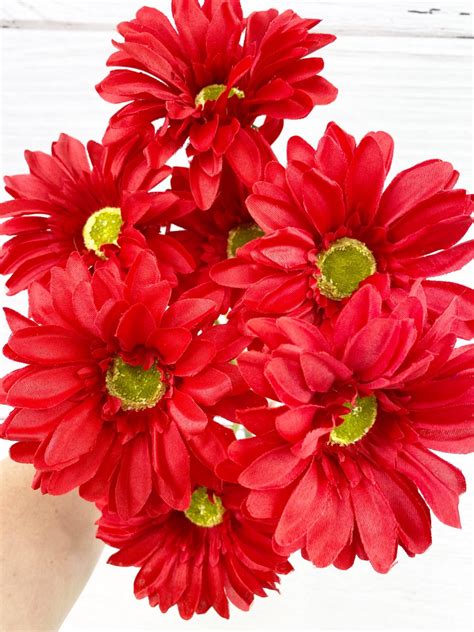 Red Paris Daisy Bush Keleas Florals