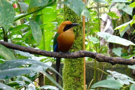 Mindo Cloud Forest From Quito Full Day