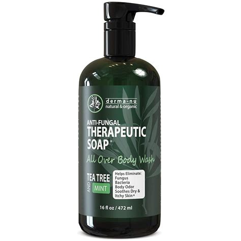 Best Antibacterial Body Wash