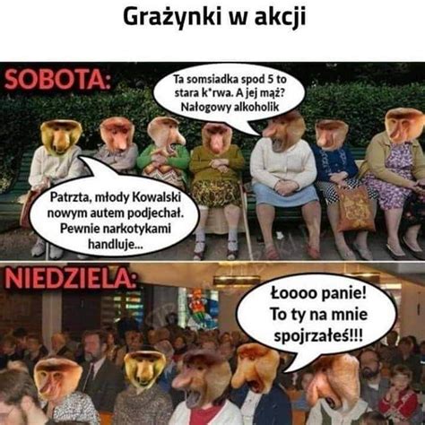 Pin By A On Zapisane Na Szybko Funny Memes Weekend Humor Memes