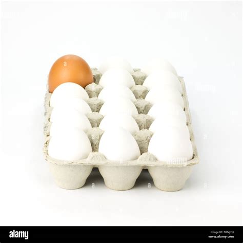 Eggs Carton Cut Out Stock Images And Pictures Alamy