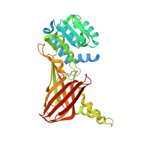 Rcsb Pdb Dur Crystal Structure Of Apo Protein Arginine N