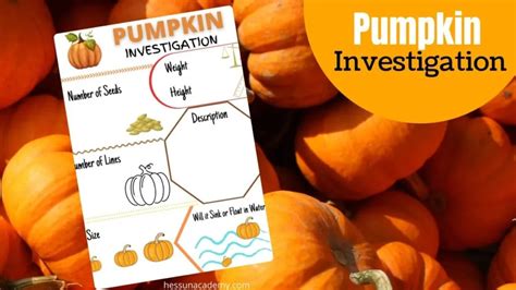 10 Pumpkin Stem Activities And Projects Hess Unacademy