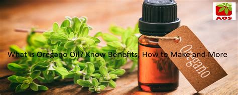 What Is Oregano Oil How To Check Purity Blog Online