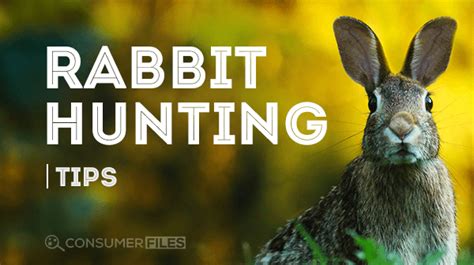 Rabbit Hunting Tips: How to Hunt Rabbits Like a Pro - Consumer Files