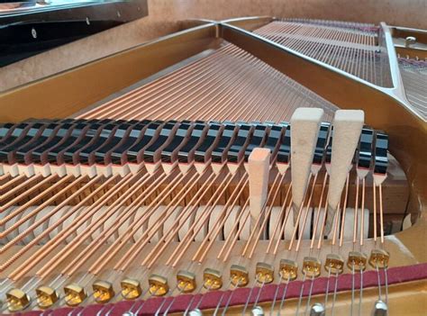 Accord De Piano Appassionata