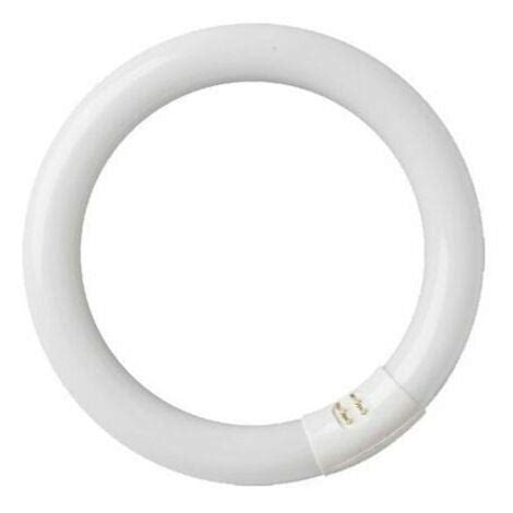 Tubo Fluorescente Circular 32W T9 6400K GSC 2000590