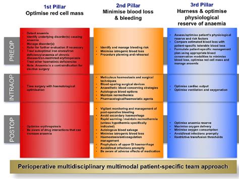 The Three Pillar Nine Field Matrix Of Patient Blood Management This