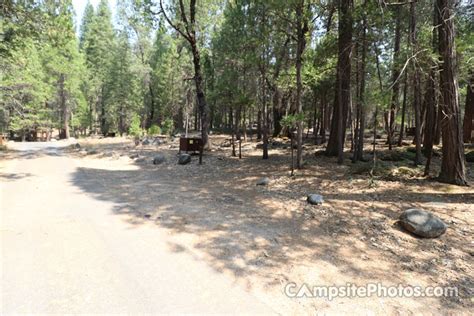 Wawona Campground Campsite Photos Reservations And Camping Info