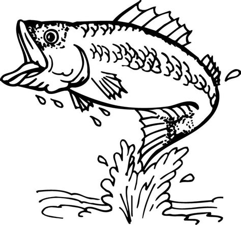 Bass Fish Coloring Pages