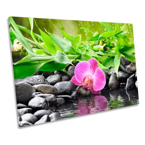 Ebern Designs Zen Stones Spa Flower Wrapped Canvas Art Prints