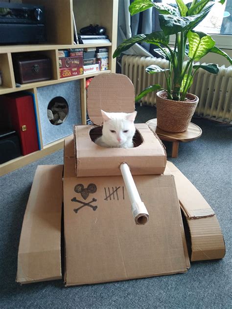 Cat Army Cats In Cardboard Tanks