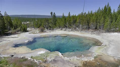 Norris Geyser Basin Yellowstone National Park | Yellowstone national