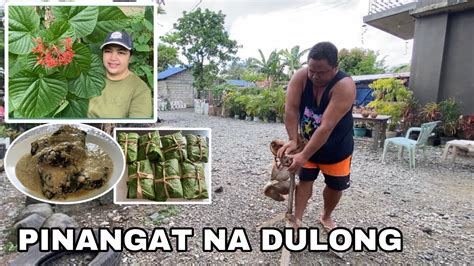 Pinangat Na Dulong Sa Dahon Ng Kalalawan Vlog687 YouTube