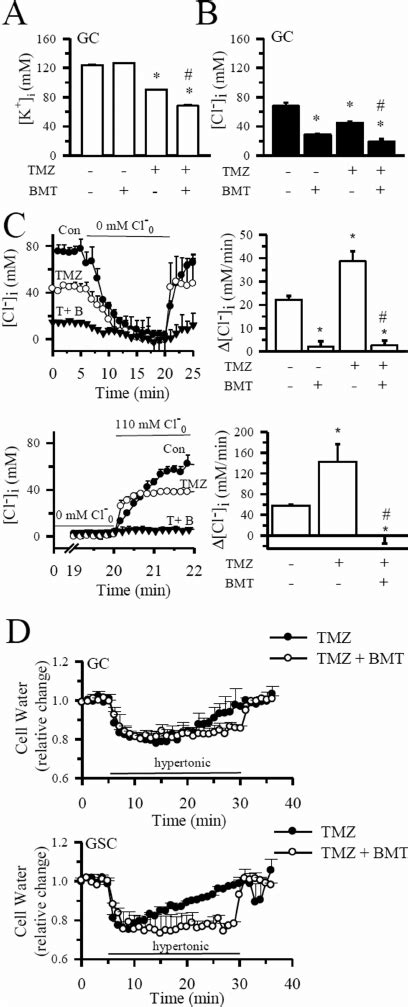 Inhibition Of Nkcc Activity Accelerates Tmz Induced Loss Of K I And