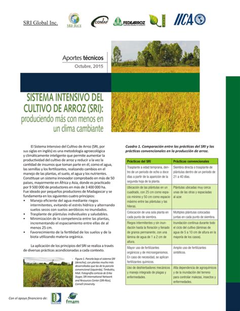 Sistema Intensivo Del Cultivo De