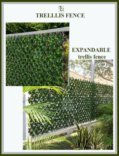 Multicolor Artificial Vertical Green Wall For Decoration At Rs Sq