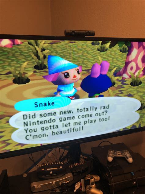 Gamecube Animal Crossing knew something was coming! : r/AnimalCrossing 