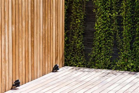 Comment Cacher Un Mur Dans Le Jardin New Homes Patio Deco