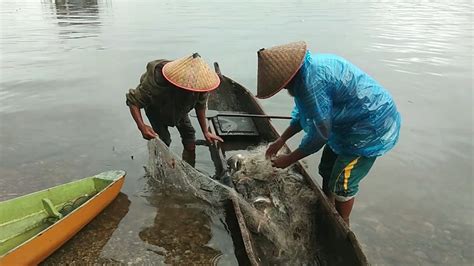 Hasil Tangkap Ikan Nelayan Danau Maninjau Meningkat Berita Tvri