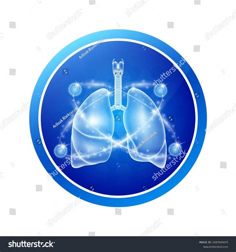 Circulación pulmonar Más de 21 731 ilustraciones y dibujos de stock