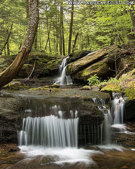 The 20 Best Waterfalls in the Loyalsock State Forest