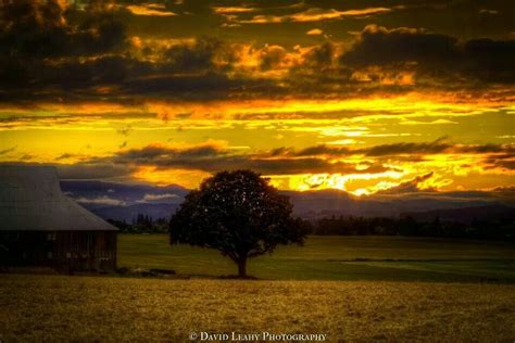 Sunset North Plains Oregon Sunset North Plains Outdoor