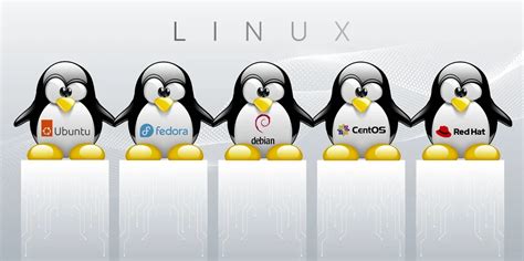 Distro Linux Terbaik Dan Terpopuler