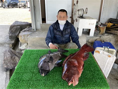 磯釣りで石鯛56㎝・カンダイ65㎝・ゲット！ 一栄丸渡船｜三重県紀北町