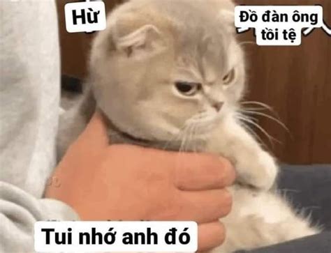 100 Meme Dỗi đáng Yêu Hài Hước Cười Không Ngậm được Mồm