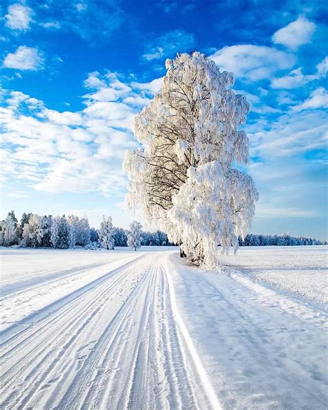 P Descarga Gratis Nieve Nieve Paisaje Invierno Frio Invierno