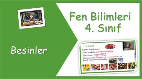 4 Sınıf Fen Bilimleri Besinler YouTube