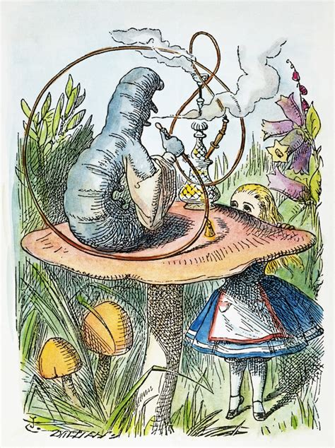 Alice In Wonderland 1865 Nadvice From A Caterpillar Illustration By Sir John Tenniel From