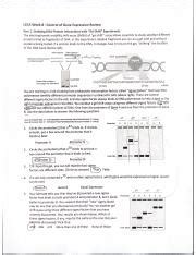 Ls A Week Control Of Gene E Pdf Ls A Week Control Of Gene