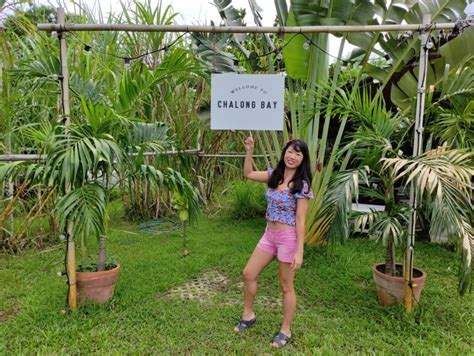 What To Expect On The Chalong Bay Rum Distillery Tour