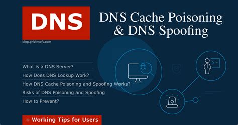 Dns Cache Poisoning And Dns Spoofing Gridinsoft Blogs