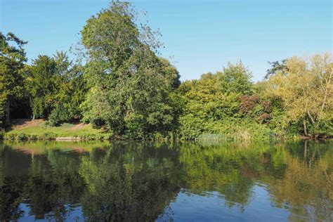 The State of Biodiversity in Avon: Getting Ready for BNG