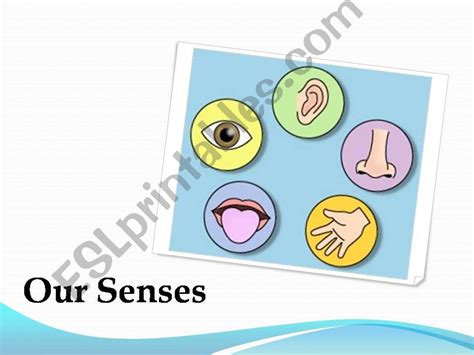 Esl English Powerpoints Our Senses