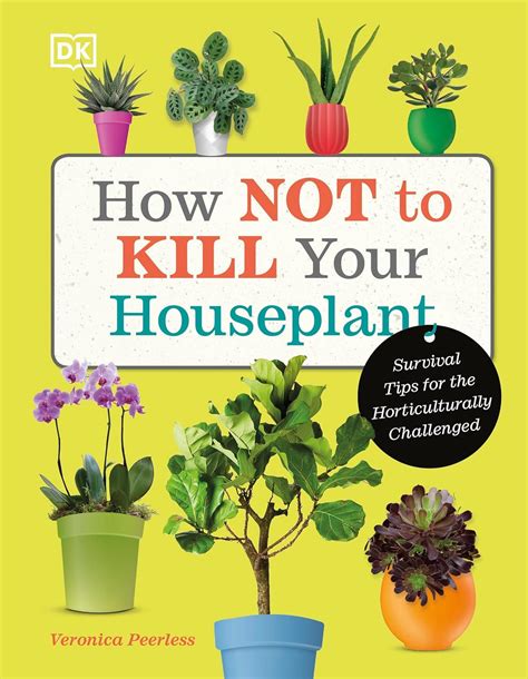 How Not To Kill Your Houseplant Survival Tips For The Horticulturally