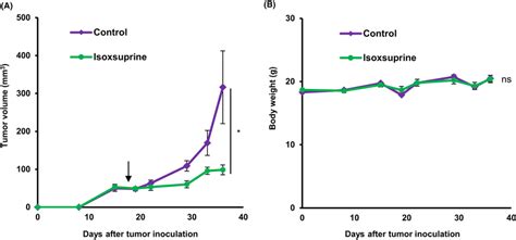 Effect Of Isoxsuprine On Oscc Tumor Growth In Vivo Sas Cells Were