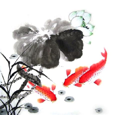 Chinese Koi Fish Painting 2326012 66cm X 66cm26〃 X 26〃