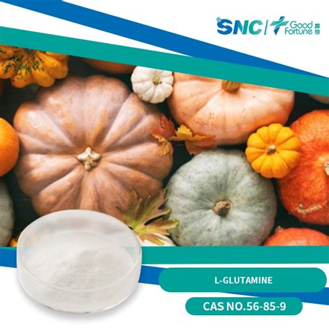 Factory Wholesale Price Food Grade Cas 56 85 9 L Glutamine With Iso Haccp Feed Greed And