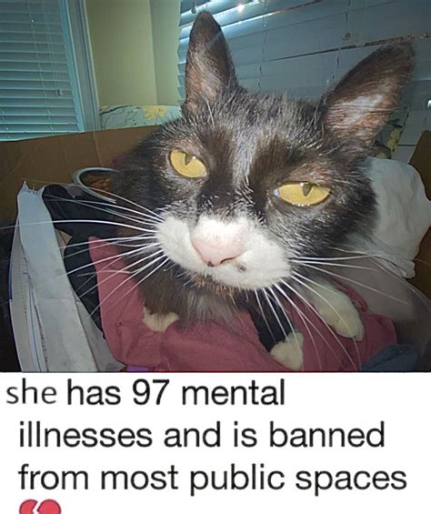 she has 97 mental illnesses and is banned from most public spaces | He ...