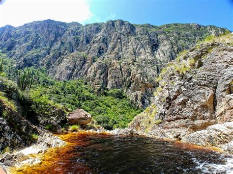 Associa O Caatinga Lan A Dois Projetos Para Conserva O Da