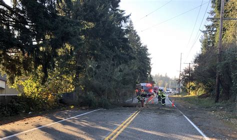 Fallen Trees Cause Road Closures In Kent Update Kent Reporter