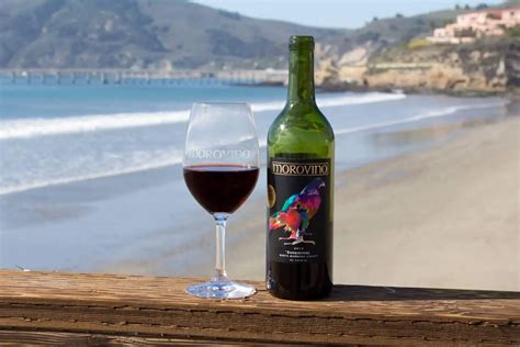 The Best Avila Beach Wineries To Visit (Just Updated)