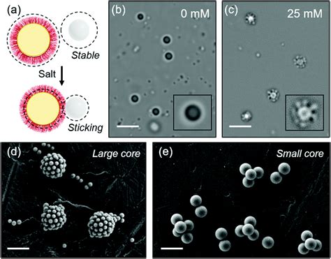 Selective Colloidal Bonds Via Polymer Mediated Interactions Soft