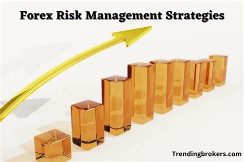 Forex Risk Management Strategies Trending Brokers