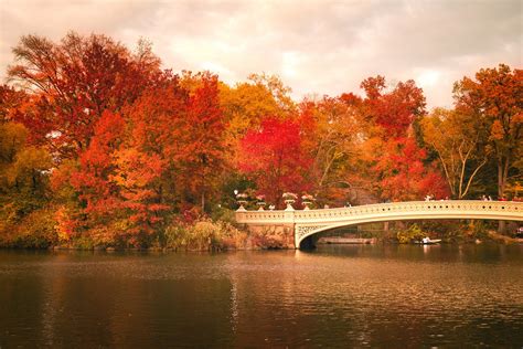 Central Park Autumn - Bow Bridge with Fall Foliage | New york city ...