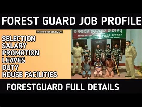 Forest Guard Job Profile 2023 Odisha Forest Guard Salary Promotion